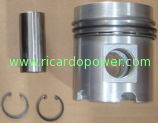 Piston for Weifang Ricardo Engine 295/495/4100/4105/6105/6113/6126 Engine Parts