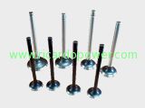 Intake valve and outtake valve for Weifang Ricardo Engine 295/495/4100/4105/6105/6113/6126 Engine Parts