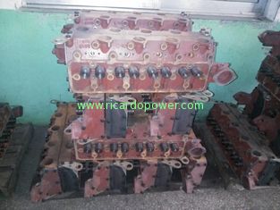 Cylinder head for Weifang 295/495/4100/4105/6105/6113/6126 Ricardo Engine Parts