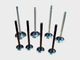 Exhaust Valve for Weifang Ricardo Engine 295/495/4100/4105/6105/6113/6126