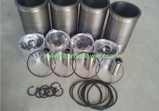 Weifang ricardo engine parts of 295/495/4100/4105/6105/6113/6126