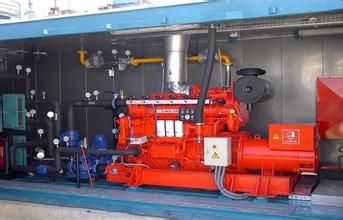 Biogas Biomass CNG LPG Gas Generator Set