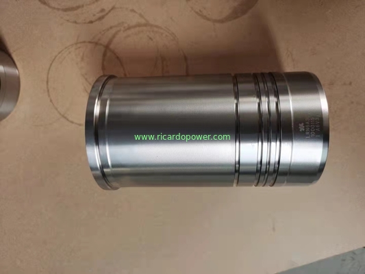 Ricardo Piston And Liner Sets Of 295/495/4100/4105/6105/6113/6126 Diesel Engine Spare Parts